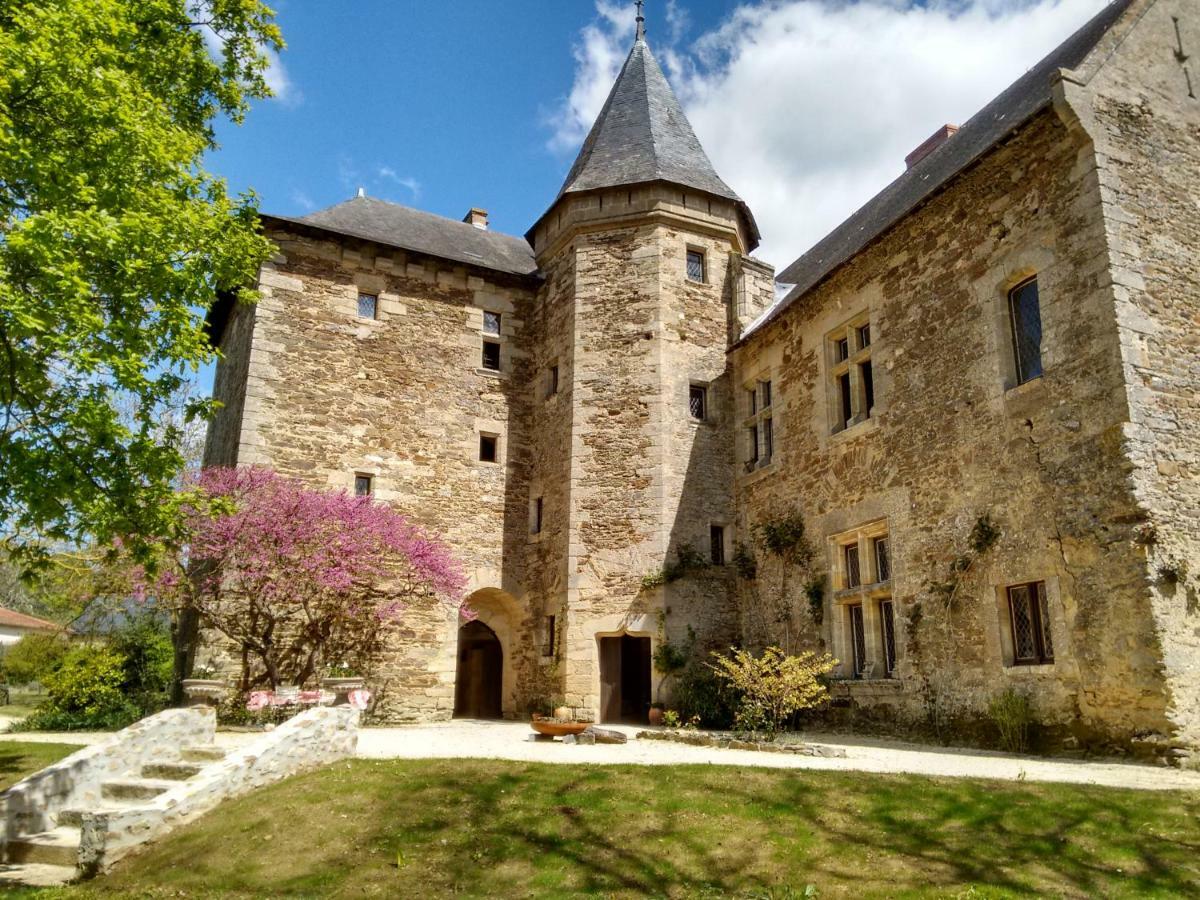 Faye-d'Anjou Chateau De Chanze מראה חיצוני תמונה