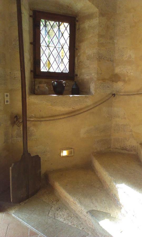 Faye-d'Anjou Chateau De Chanze מראה חיצוני תמונה